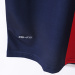 Paris Saint Germain 2013/14